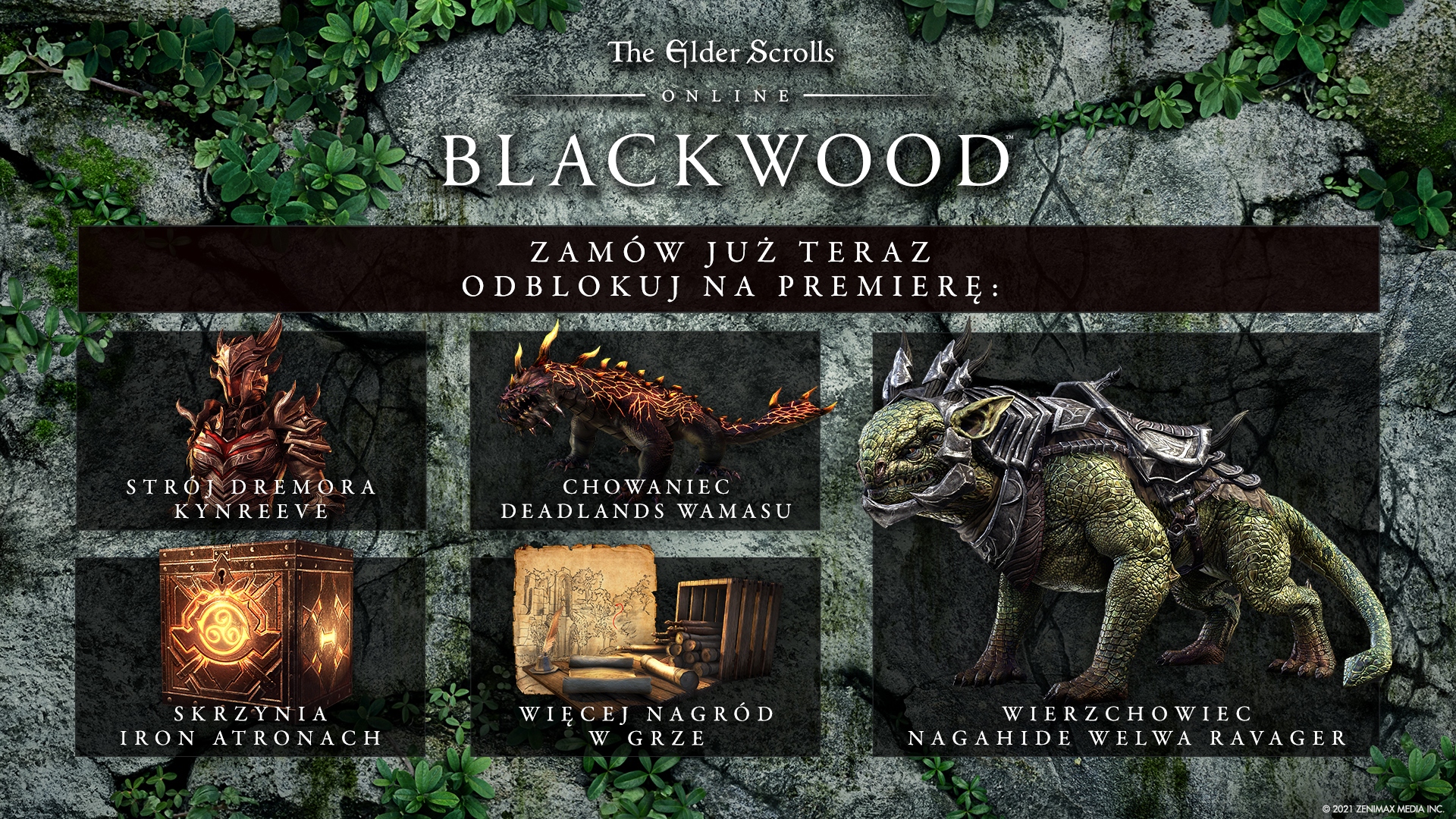 Teso blackwood steam фото 10