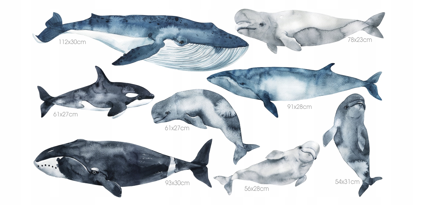 Wot cit. Wot kit кейсы. Кит и дельфин стикеры. Hungry shark world кит. Вот кик.