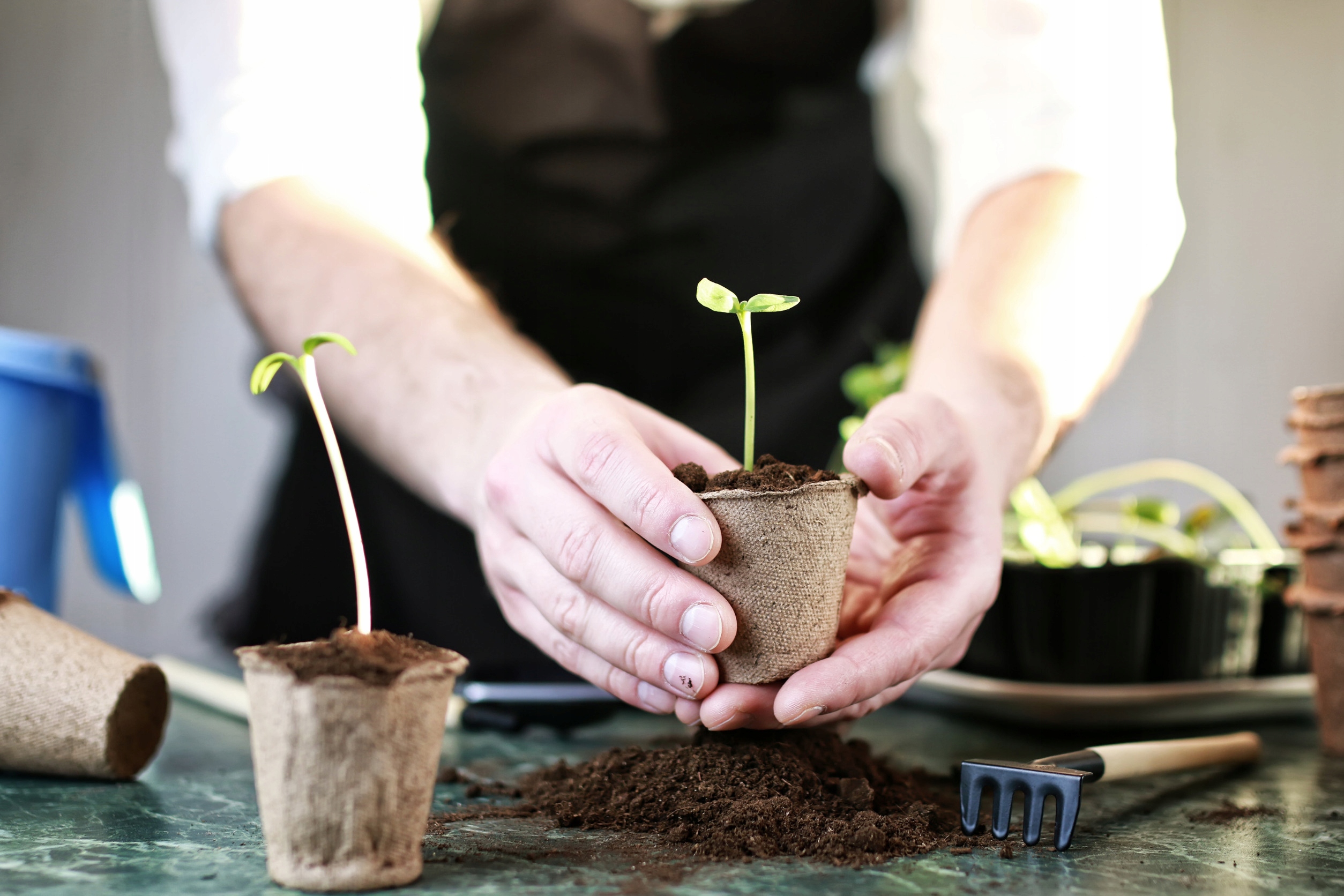 Gardens hands