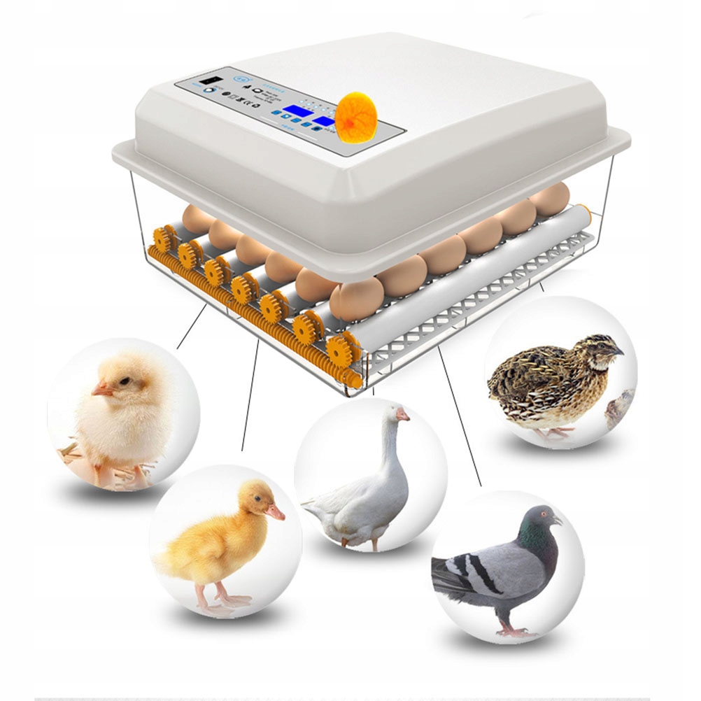 Купить инкубатор для яиц кур