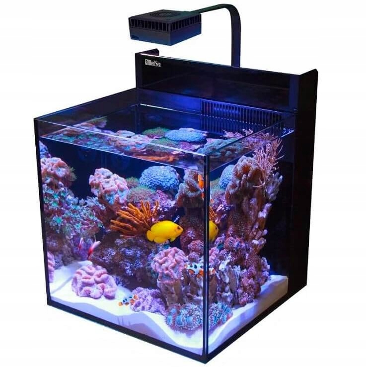 Аквариум Nano Reef