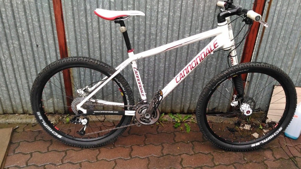 cannondale f1 lefty