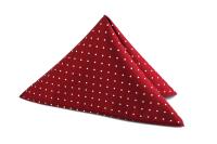 НАГРУДНЫЙ ПЛАТОК ПЛАТКИ ПЛАТОК ЯЗЫЧОК МНОГО КОНСТРУКЦИЙ