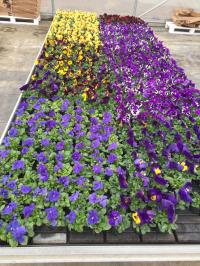 Заливной стол, алюминиевые заливные столы 380x158cm