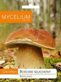 Мицелий подберезовик благородный Mycelium