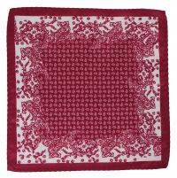 Элегантный нагрудный платок Alties