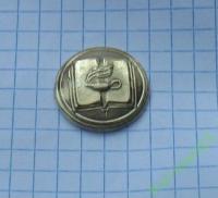 кнопка намордник образование школа обучение книга студент