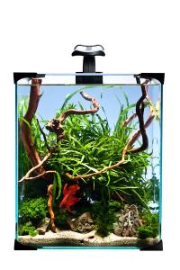 ZESTAW AKWARIUM DIVERSA NANO LED 20 KREWETKARIUM