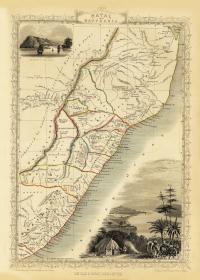 Южноафриканская натальная карта Дурбана, иллюстрированная Таллисом 1851 года.