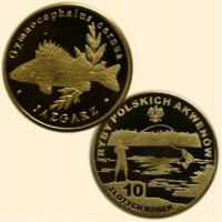 Jazgarz - 10 złotych rybek - Ryby Polskich