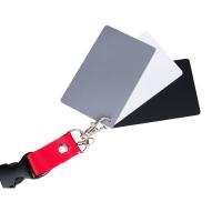 СЕРАЯ КОНТРОЛЬНАЯ КАРТА ЧЕРНЫЙ БЕЛЫЙ-GRAY CARD