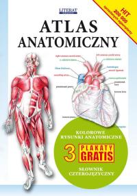 Atlas anatomiczny Praca zbiorowa