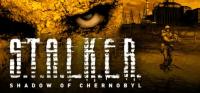 S.T.A.L.K.E.R SHADOW OF CHERNOBYL CIEŃ CZARNOBYLA KLUCZ STEAM PO POLSKU