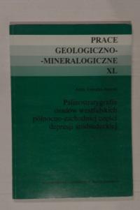 Palinostratygrafia osadów westfalskich Dolny Śląsk