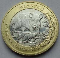 MZ7 -2009- 7 RUMMELI -DZIK- MIASTKO - ZWIERZĘTA - ZWIERZYNA ŁOWNA - 7/82