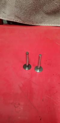 Briggs&Stratton B&S Boxer Szklanki zaworów