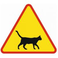 Дорожный знак A18g Примечание кошки 600 мм