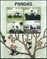 Pandy panda niedźwiedź fauna Kongo ark ** #CON1439