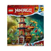 Lego Ninjago храм энергии дракона 71795