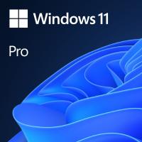 System operacyjny Microsoft Windows 11Pro PROFESSIONAL wersja pudełkowa DVD