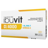 IBUVIT D 4000 IU K2 МК-7 OMEGAX30 капсулы
