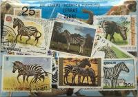 Zestaw 25 znaczków pocztowych - ZEBRY
