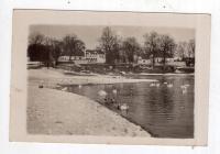 Rożnica k Sędziszów Jędrzejów - Pałac - FOTO ok1935