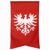 Flaga Powstanie Wielkopolskie Powstania Wielkopolskiego chorągiew 112x70cm