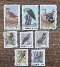 Fauna - Ptak - Ptaki - Zambia