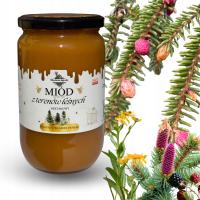 MIÓD Z TERENÓW LEŚNYCH ZBIÓR 2025 - 1KG