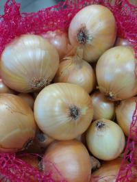 CEBULA POLSKA ŚWIEŻA 5 KG