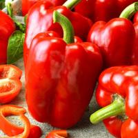 Papryka Granova - średnio wczesna o dużych słodkich owocach, plenna-nasiona