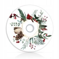 DVD na Boże Narodzenie Zimowy Gil