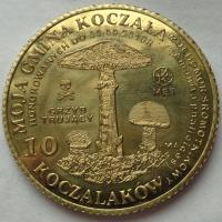 KOCZAŁA - 10 KOCZALAKÓW 2010 MUCHOMOR SROMOTNIKOWY / nakład 200 sztuk