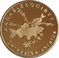 Золотой карась - 10 золотых рыбок - польская рыба