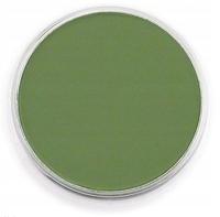 PanPastel Chromium Oxide Green Shade 9ml