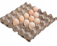 WYTŁACZANKI WYTŁOCZKI NA JAJKA DO JAJEK 30 JAJ KURZYCH 60szt