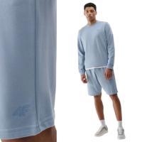 4F Мужские спортивные шорты короткие 4fwss25tshom571