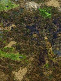 Mata gumowa jednostronna: Błotnista Ziemia 30”x22” / 76x56 cm