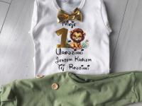 Komplet na roczek chłopca pistacjowy lew