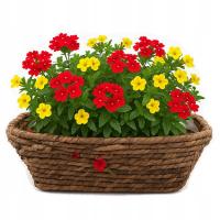 KOSZ KWIETNIK PLECIONY MISA BALKONOWA PLECIONA NA KWIATY ROŚLINY 42 x 19cm