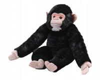 WILD REPUBLIC 27432 ARTIST COLLECTION, BABY CHIMPANZEE