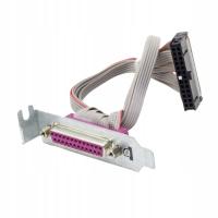 MODUŁ PORTU LPT - HP 462537-002 - LOW PROFILE