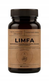 Лимфа капсулы лимфатическая система отеки кровообращение детокс объятия CAP