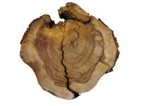 Plaster Drewna Wiąz w Kawałkach 78x85x8,5cm Duży Wybór Drewna na Bla