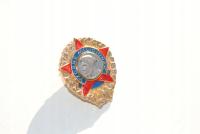 Stara zapinka przypinka odznaka wpinka militaria