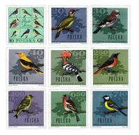 Fi 1570-1578 * * лесные птицы