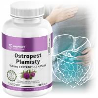 OSTROPEST PLAMISTY 90 kap WĄTROBA Trawienie MILK THISTLE | INSPORT