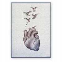 Анатомическая доска плакат сердце сердце и колибри