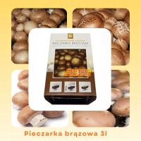 Grzybnia pieczarki brązowej zestaw do uprawy 3L domowa hodowla